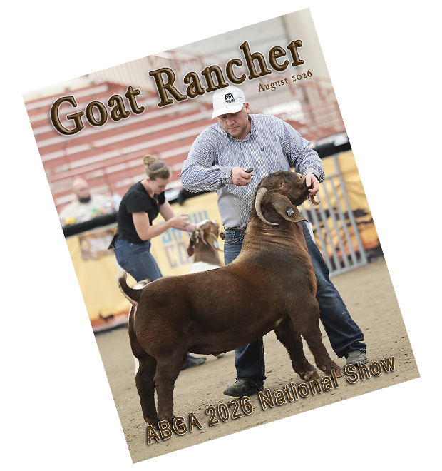 magazine cover