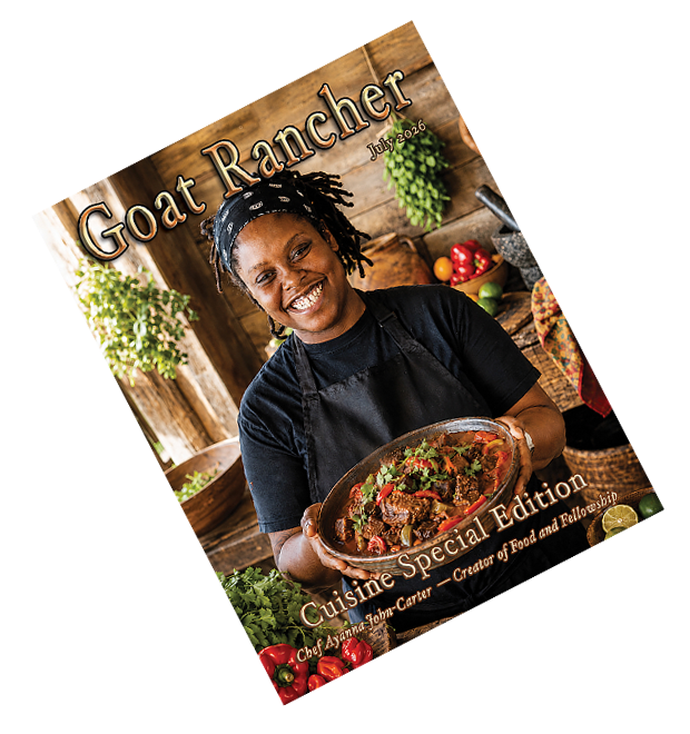 magazine cover